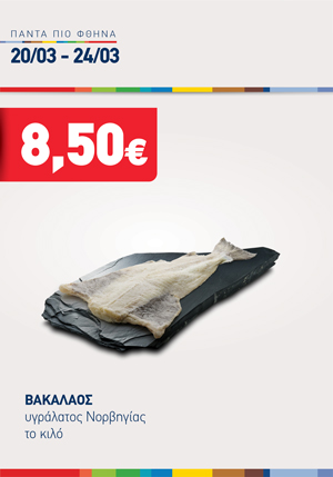 offer-banner