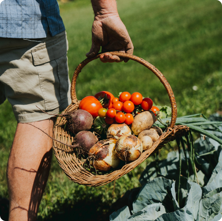 SYN.KA Super Markets